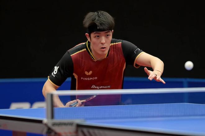 也促使包括 也促使包括