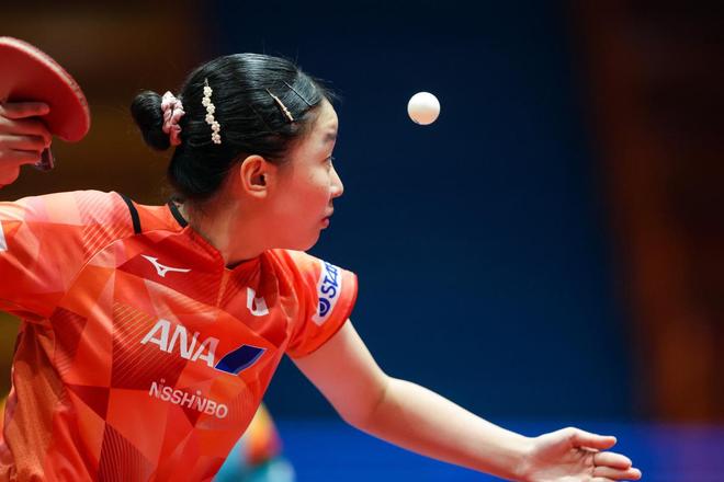 人风格的体 人风格的体